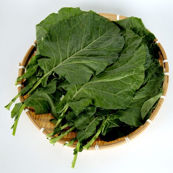 산세로자연영농조합법인,[산세로] 친환경 케일[즙용]